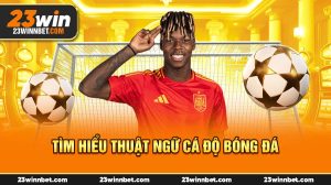 Giải Nghĩa Các Thuật Ngữ Cá Độ Bóng Đá Từ A Đến Z